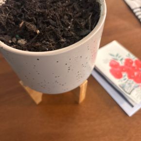 A Blessing for New&nbsp;Parents