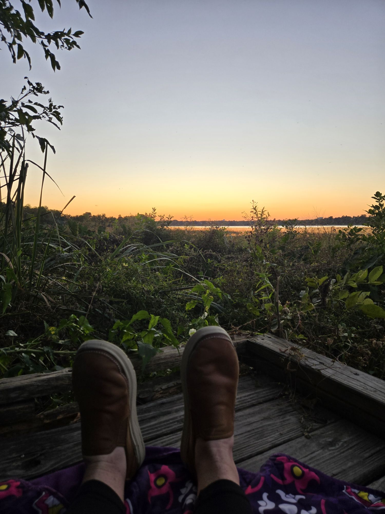 Forty-One: Death and Bunions